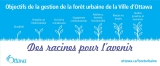 Plan de gestion de la forêt urbaine d’Ottawa - objectifs