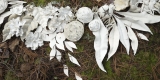 white ceramic objects laid on the ground