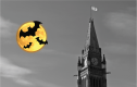 bats flying above Peace Tower