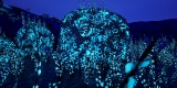 underwater scene of light blue, organic shapes, set against a blue background 