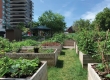 Jardin communautaire Nanny Goat Hill, 565, avenue Laurier Ouest dans la catégorie Éléments urbains 