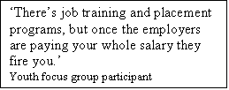 Text Box: Theres job training and placement programs, but once the employers are paying your whole salary they fire you.
Youth focus group participant
