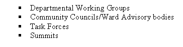 Text Box: 	Departmental Working Groups
	Community Councils/Ward Advisory bodies
	Task Forces
	Summits

