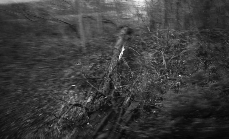 Distorted black and white photo with blurred edges of a pile of branches in the forest