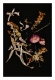 dried flowers set against a black background; flowers are dry but vibrant in colour