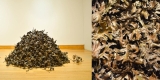 l'image de gauche montre une grande pile de feuilles de chêne en bronze sur le sol d'une galerie en bois ; l'image de droite est un gros plan des feuilles de chêne en bronze coulées individuellement