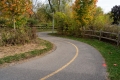 A winding multi-use pathway with trees on either side