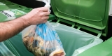A hand carrying a bag filled with food waste about to be dropped into a green bin. / Une main dépose un sac rempli de déchets alimentaires dans un bac vert. 
