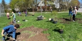 Volunteers plant native trees and shrubs at Alta Vista Public School.