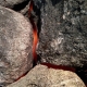 image rapprochée de rochers avec une lumière orange éclatante venant de derrière