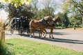 Horse drawn carriage Hurst at Reinterment Service 