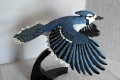 Hand-carved basswood flying blue jay in actual size, mounted on a stand. 