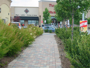  Landscaping provides a safe pedestrian route through the site.