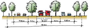 Figure 27 - Coupe transversale d’une route de dégagement de 41,5 mètres avec couloir intégré pour le transport en commun