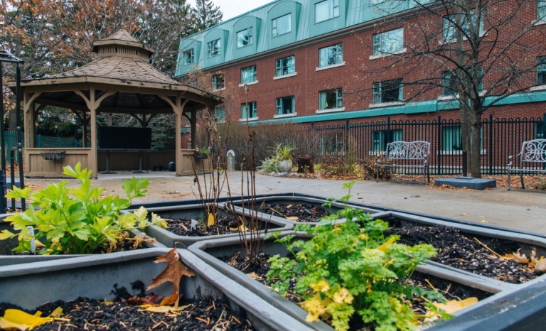 Jardin communautaire et pavillon de jardin derrière un établissement de soins de longue durée