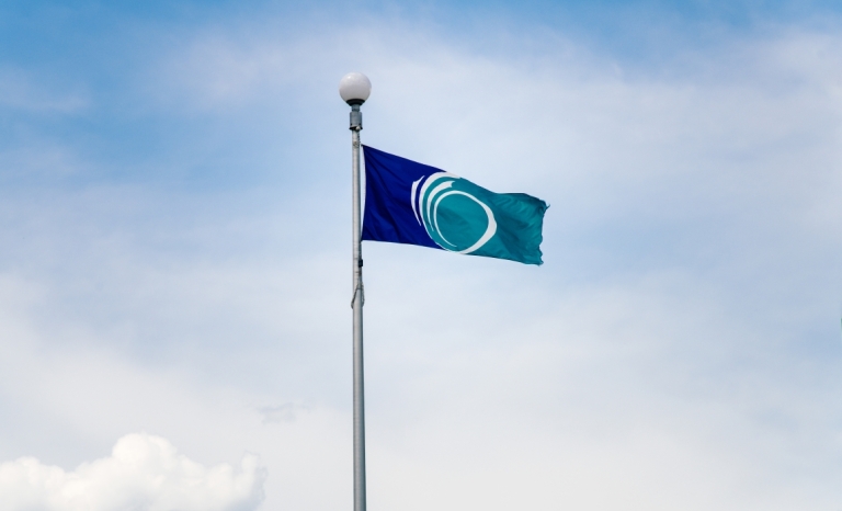 Single City of Ottawa flag on a flagpole