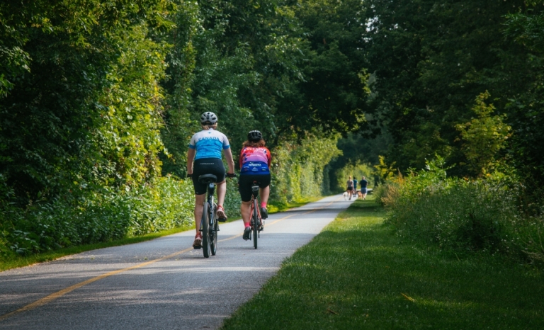  2 cyclists on a tree lined cycling path with dog walkers in the distance.