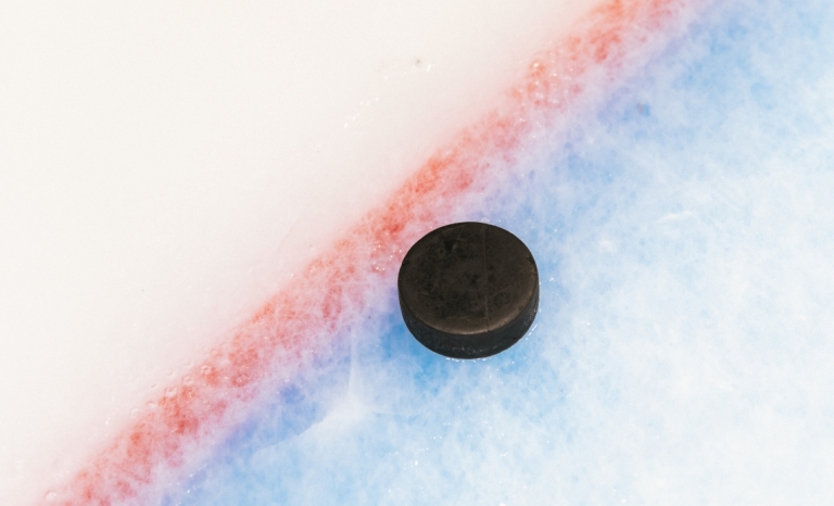 A hockey puck on a goal line