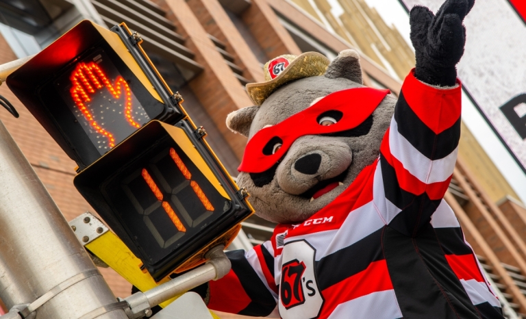 Ottawa 67's mascot Riley Racoon mugs for the camera