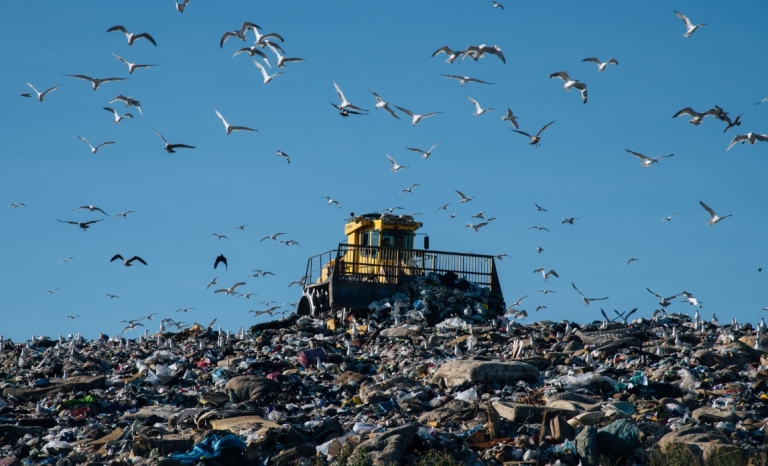 A bulldozer on top of a hill of trash with many gulls flying around