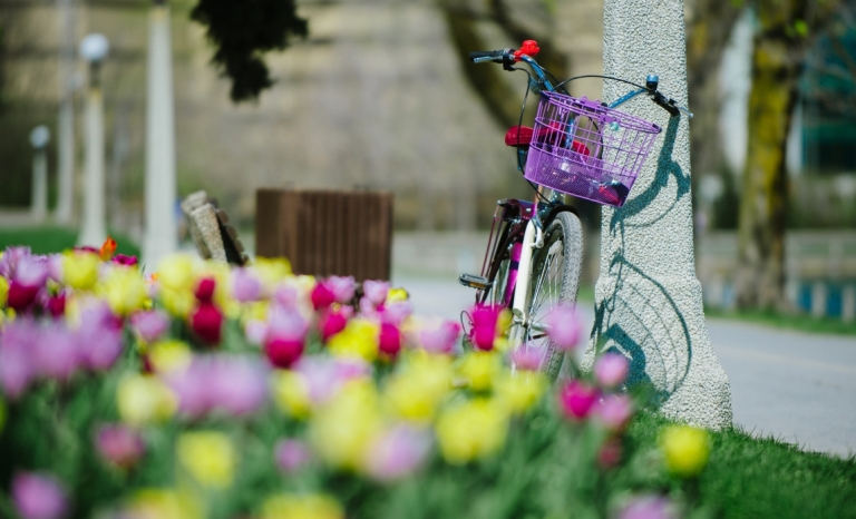 A bike leaning against a light post with a bed of tulips in the foreground