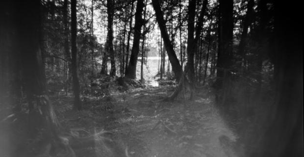Image monochrome troublante représentant l’altération causée par un trou percé dans le paysage. Les arbres aux racines apparentes sont submergés par un ruisseau en raison de l’absence de berges.