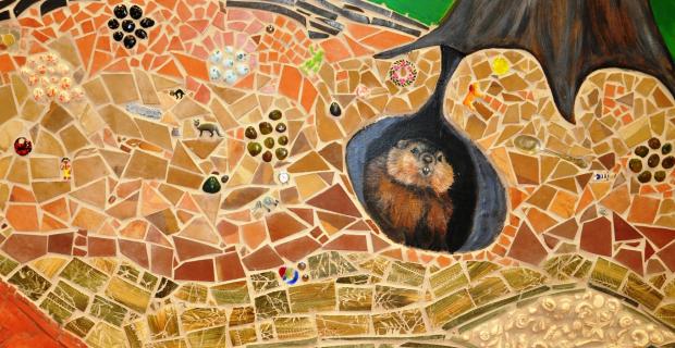 Image d’une murale en techniques mixtes représentant une marmotte dans son terrier.
