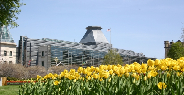 Yellow and red tulips in a park outside a grey building with a wall of windows. An American flag is flown in front.