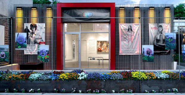 A contemporary gallery facade sits behind a row of gardens with photographic work suspended above on 77 Pamilla St.