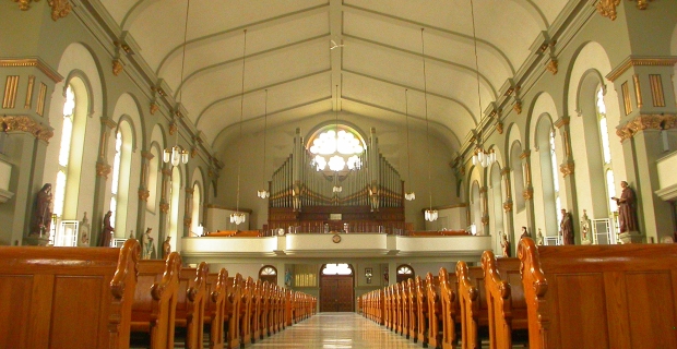 Interior of cathedral with white ceiling and grey walls with gold detail. A large organ sits at the back in front of a large window. 