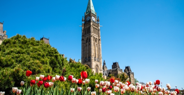 Peace Tower and tulips