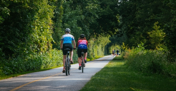  2 cyclists on a tree lined cycling path with dog walkers in the distance.