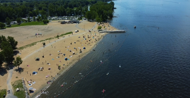 Drone shot of a busy sandy beach at Petrie Island