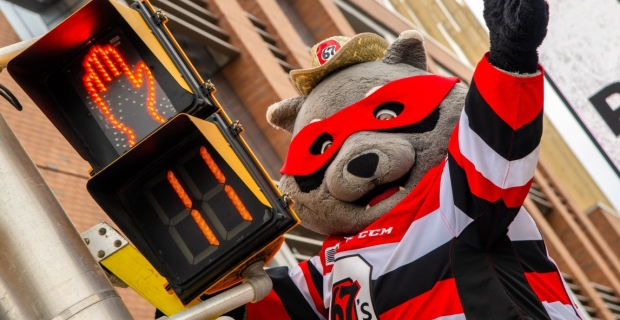 Ottawa 67's mascot Riley Racoon mugs for the camera