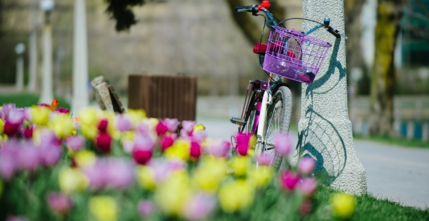 A bike leaning against a light post with a bed of tulips in the foreground