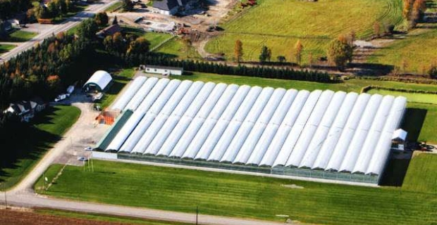 Suntech Greenhouses  