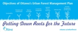 urban forest management plan benefits - facts and objectives