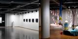 left image shows black and white 2D artwork hung on black and white gallery walls; right image shows a colorful installation of handmade animal sculptures propped up or hung in the space. 