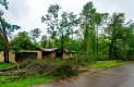 Steet with bungalow houses, wet road, grey sky and downed trees