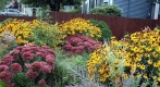 Rain garden