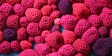 Vue rapprochée d’une installation composée de fils rouges crochetés et tricotés. 