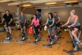 A group of people on exercise bikes