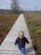 Un petit enfant se promène sur la promenade de bois de la tourbière Mer-Bleue.