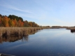 Eau libre et marais à la tourbière Mer-Bleue, dans l’est d’Ottawa.