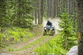 An ATV and rider on a forest trail