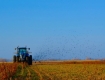  Biosolides appliqués sur des terres agricoles