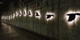 sculptural birds lit up at night