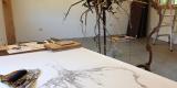 studio shot with drawing on table and hanging tree branch on the side