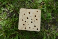 Drill a variety of different sized holes into each of the four wood blocks 