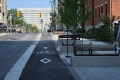 This is a photo of the new benches and trees along the east side of Bay Street, looking north, along with the cycle track.